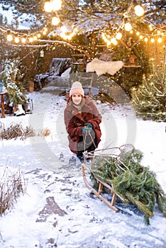 A happy woman in a red fur coat is pulling a sled with pine branches