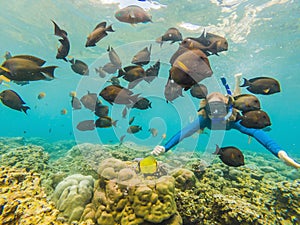Happy woman in snorkeling mask dive underwater with tropical fishes in coral reef sea pool. Travel lifestyle, water