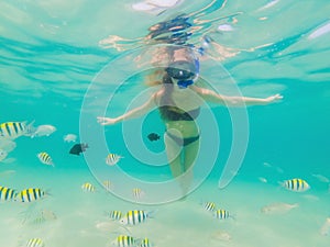 Happy woman in snorkeling mask dive underwater with tropical fishes in coral reef sea pool. Travel lifestyle, water