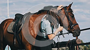 Happy Woman Stroking a Horse on a Farm in Nature at Summer Day, Slow Motion