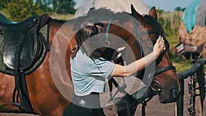 Happy Woman Stroking a Horse on a Farm in Nature at Summer Day, Slow Motion