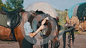 Happy Woman Stroking a Horse on a Farm in Nature at Summer Day, Slow Motion