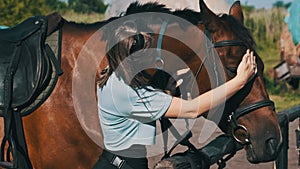 Happy Woman Stroking Horse on Ranch in Nature, Slow Motion