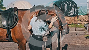 Happy Woman Stroking Horse on Ranch in Nature, Slow Motion