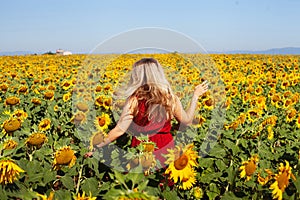 Happy woman in summer sunflower field enjoying life, red dress and yellow flowers
