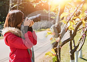 Happy woman traveler take photos by camera with cherry blossoms tree on vacation while spring