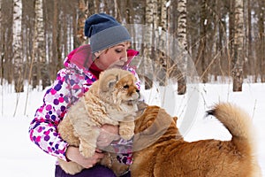 A Happy woman with two cute fluffy dogs chow chow