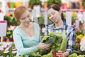 Happy women choosing flowers in greenhouse