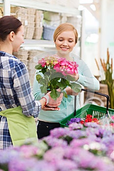 Happy women choosing flowers in greenhouse