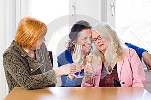 Happy Women Friends Having Wine at the Table