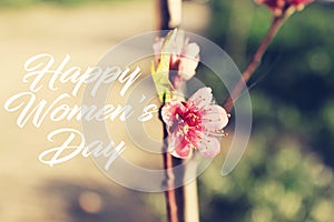 happy women`s day concept with pink beautiful flower.