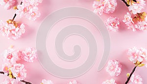 Happy women`s day concept, pink plum blossom frame on pastel background. Flat lay ,top view