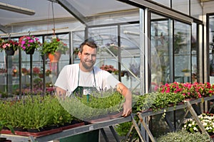 Happy worker growing flowers in a greenhouse of a flower shop