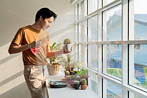 Happy young Asian man spend his free time taking care of and spraying water on the cactus plant by the sunny windows in the