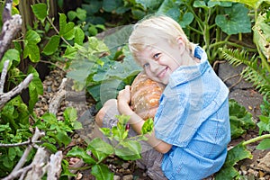 Happy young boy holding a home grown organic pumpkin