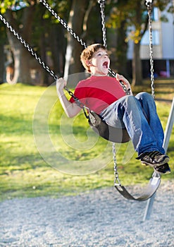 Happy young boy playing on swing