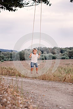 Happy young boy playing on swing in a park