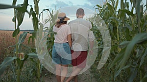 A happy young couple goes in a cornfield holding hands and a man jokingly puts a footboard his wife. Back view. Slow