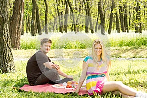 Happy young couple on a picnic date