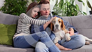 Happy young couple playing and relaxing with pet dog beagle at home. Portrait of caucasian man and woman in love feeding