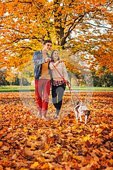 Happy young couple with two cute dogs walking in park