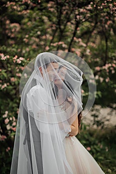 Happy young couple. Wedding portrait. The bride and groom gently snuggled up to each other under a veil