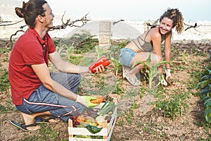 Happy young couple working together harvesting fresh fruits and vegetables in farm garden house