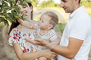 Happy young family with baby son playing and having fun together in nature on field