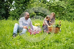 Happy young family having picnic