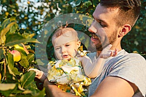 The happy young family during picking apples in a garden outdoors