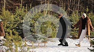 happy young father and mother with a kid girl are running through a snow-covered forest, a child is dragging a sled