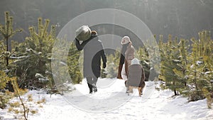 happy young father and mother with a kid girl are walking through a snow-covered forest, a child on sled, dad with a