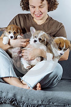 Happy young female breeder is sitting on sofa and holding three velshkorgi puppies from her kennel in her hands.