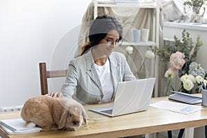 Happy young female entrepreneur enjoying workday with funny fluffy rabbit. photo