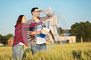 Happy young female and male agronomists or farmers inspecting wheat fields before the harvest. Woman is pointing to something in d photo