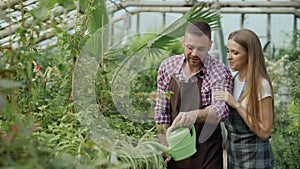 Happy young florist couple in apron working in greenhouse. Cheerful woman embrace and kiss his husband watering flowers