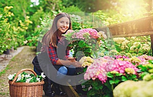 Happy young gardener selecting hydrangea plants
