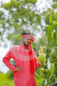 happy young Indian farmer showing corn fruit at field