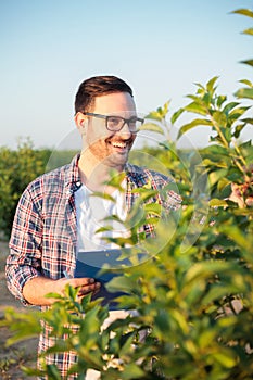Happy young male agronomist or farmer inspecting young trees in a fruit orchard