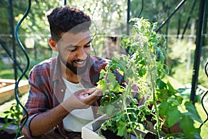 Happy young man working outdoors in backyard, gardening and greenhouse concept.