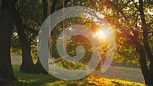 Happy young mom with a little girl swinging in the park together at sunset. Mother and daughter riding on swing, family