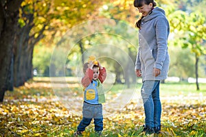 Happy young mother playing with baby in autumn park with yellow maple leaves .Family walking outdoors in autumn. Little boy with