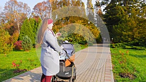 Happy young mother walking with baby with in the stroller in park autumn and looking around. Maternity concept. Medium