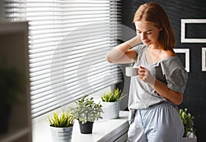 Happy young woman drinks coffee at window in morning