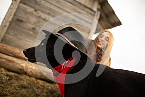 Happy young woman plaing with her black dog in fron of old wooden house. Girl tries a hat to her dog