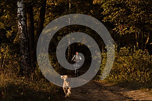 Happy young woman riding a bicycle in autumn forest during sunset, her English cocker spaniel dog is running ahead.