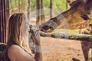 Happy young woman watching and feeding giraffe in zoo. Happy you