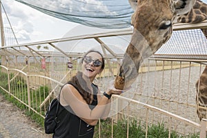 Happy young woman watching and feeding giraffe in zoo. Young attractive tourist woman feeds cute giraffe. The concept of