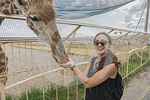 Happy young woman watching and feeding giraffe in zoo. Young attractive tourist woman feeds cute giraffe. The concept of trust and