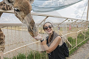 Happy young woman watching and feeding giraffe in zoo. Young attractive tourist woman feeds cute giraffe. The concept of trust and